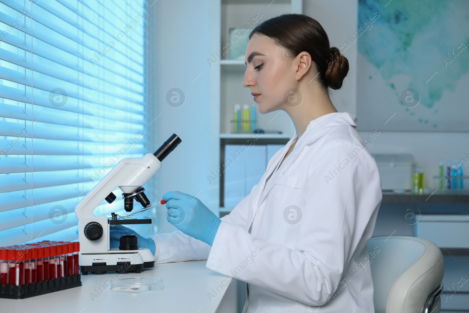 Photo of Laboratory testing. Doctor dripping blood sample onto glass slide while working with microscope at table indoors