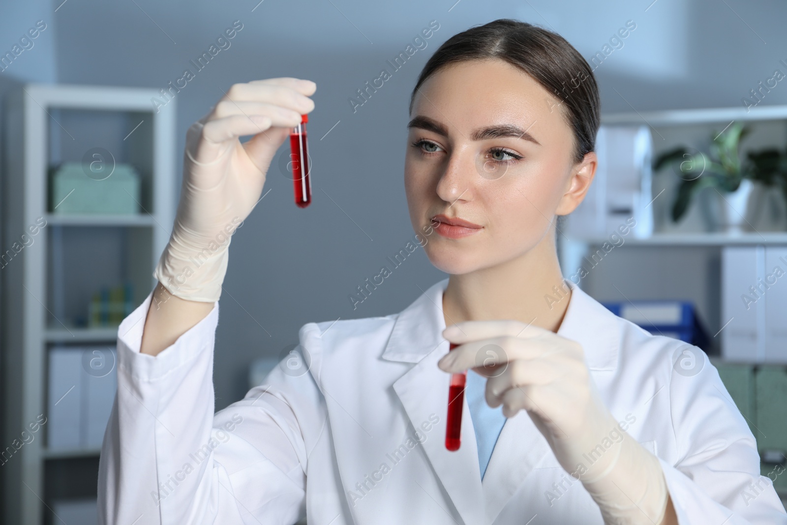 Photo of Laboratory testing. Doctor holding test tubes with blood samples indoors