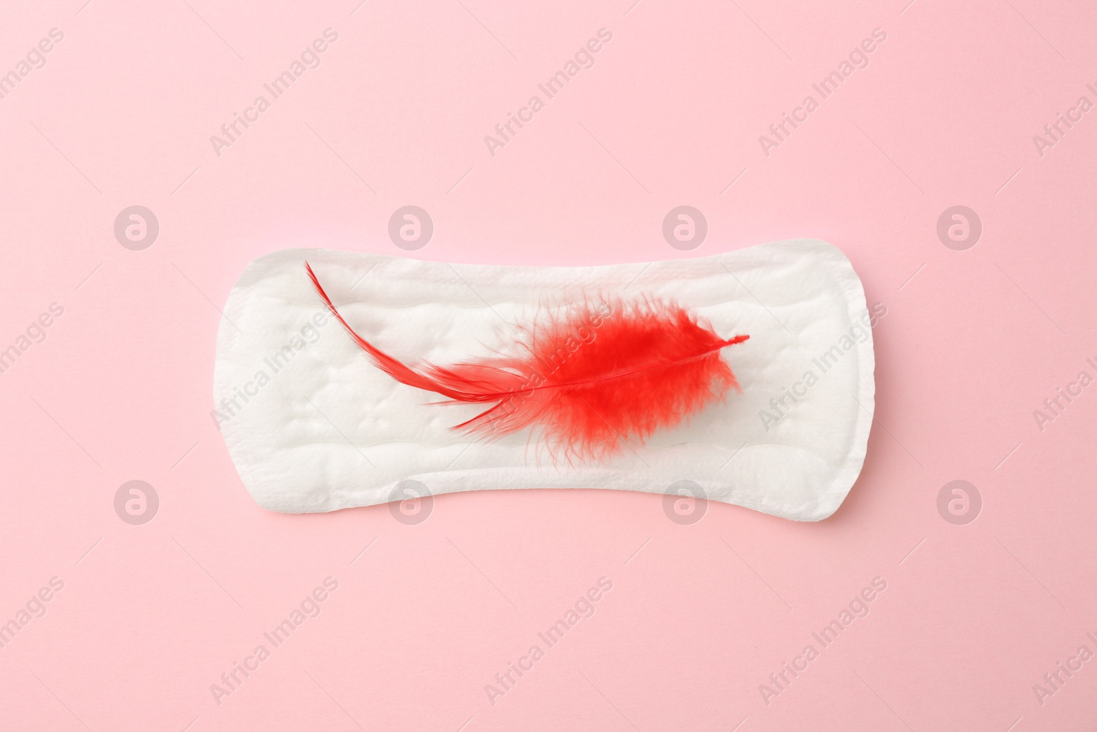 Photo of Menstrual pad with red feather on light pink background, top view