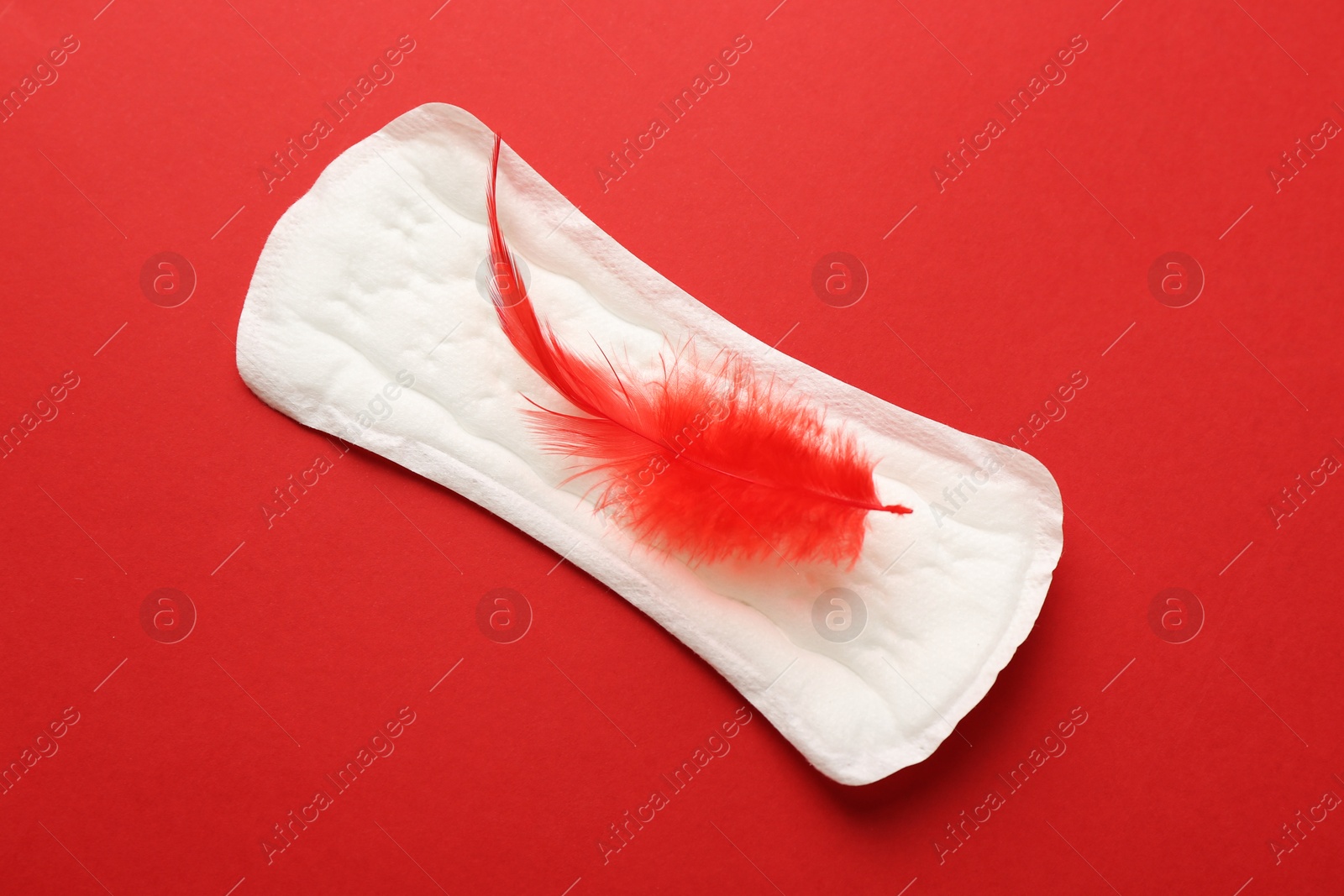 Photo of Menstrual pad with feather on red background, top view