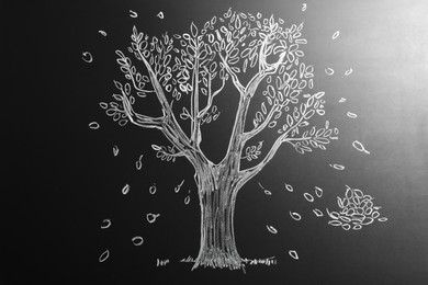 Photo of Beautiful drawing of tree on black chalkboard