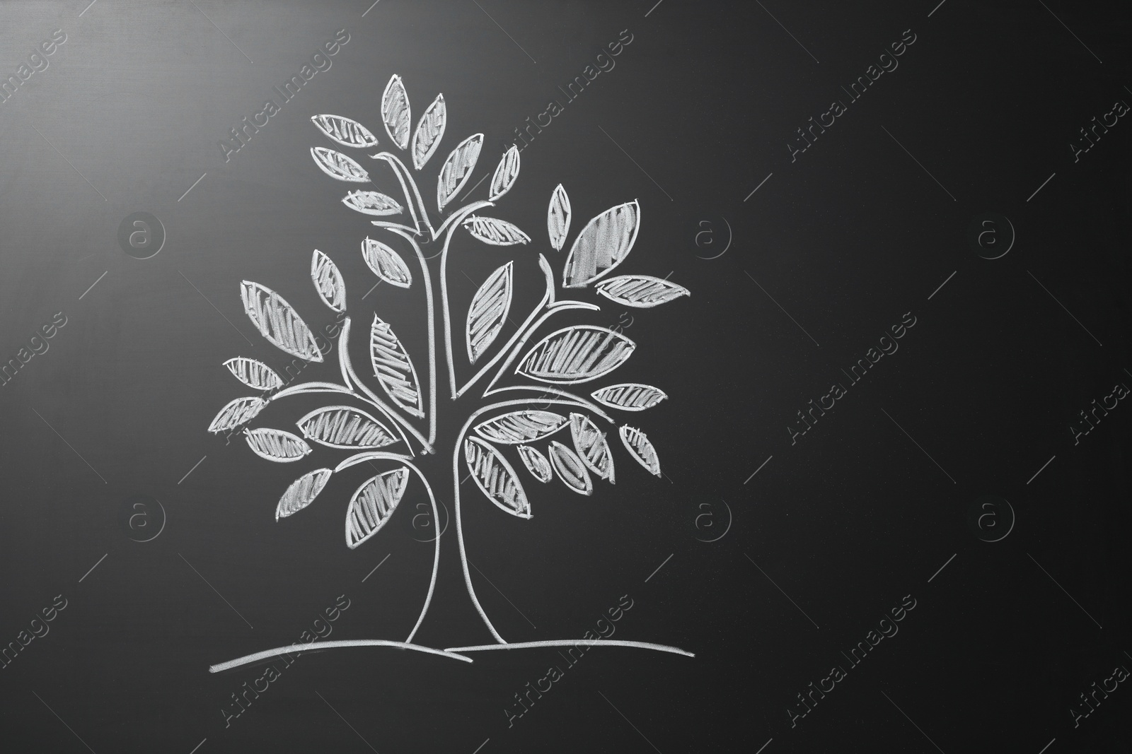 Photo of Beautiful drawing of tree on black chalkboard. Space for text