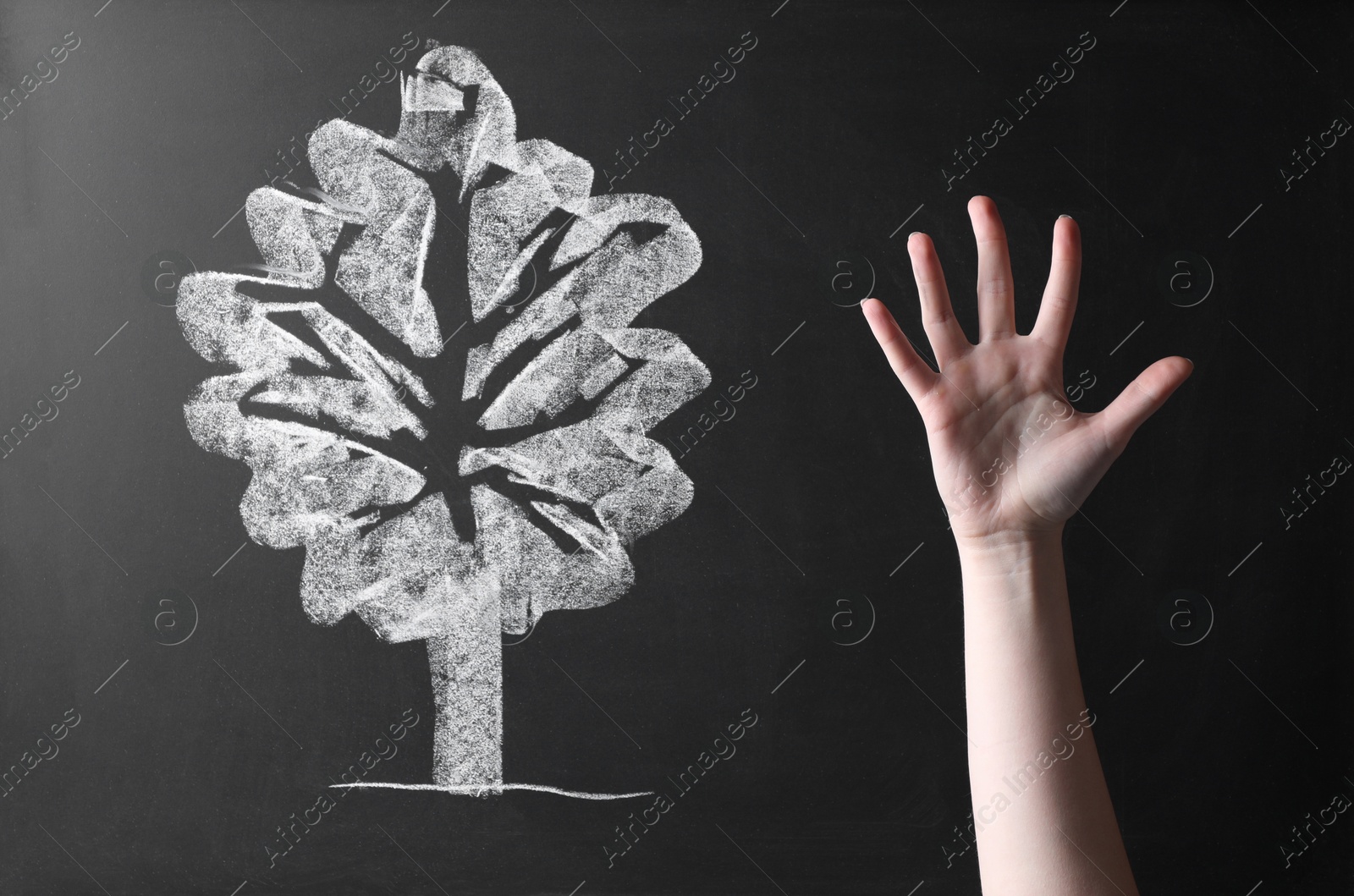 Photo of Woman near chalkboard with tree drawing, closeup