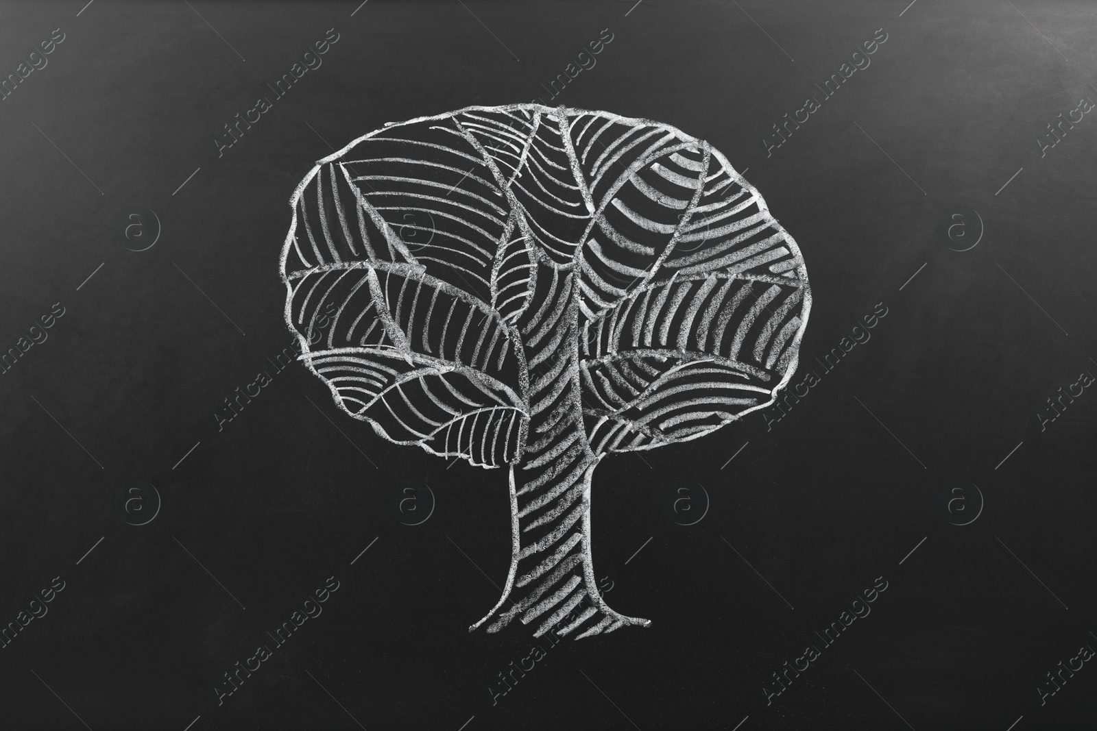 Photo of Beautiful drawing of tree on black chalkboard