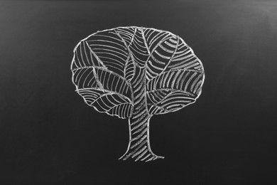 Photo of Beautiful drawing of tree on black chalkboard