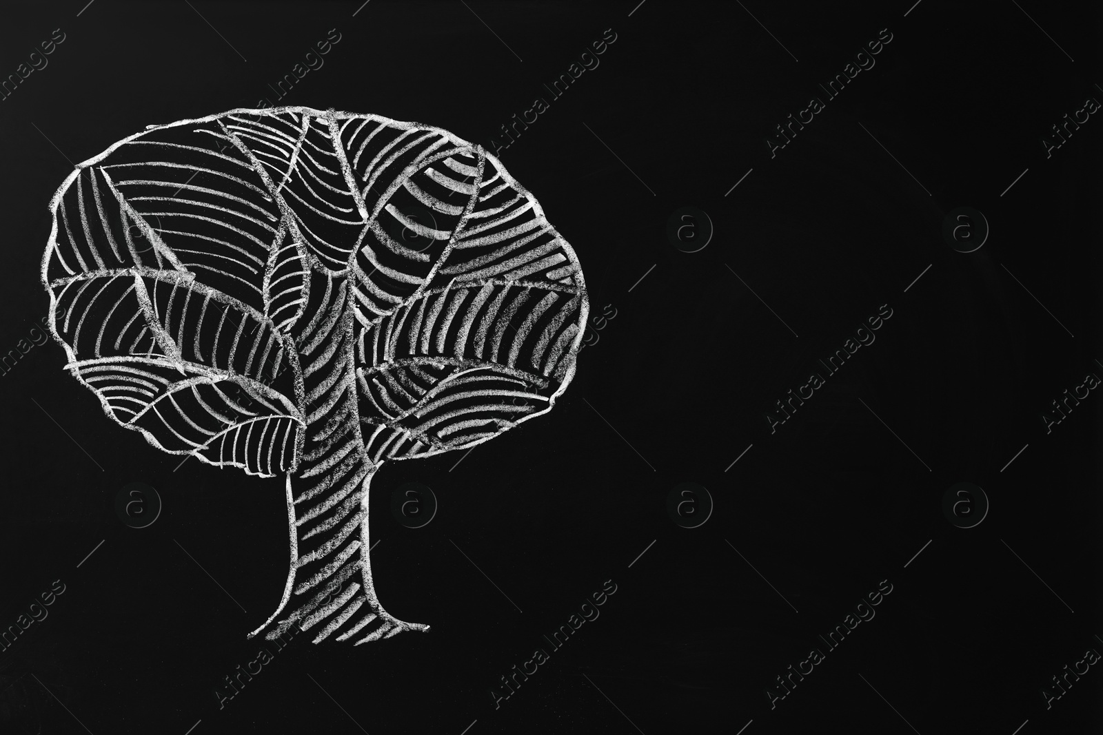 Photo of Beautiful drawing of tree on black chalkboard. Space for text