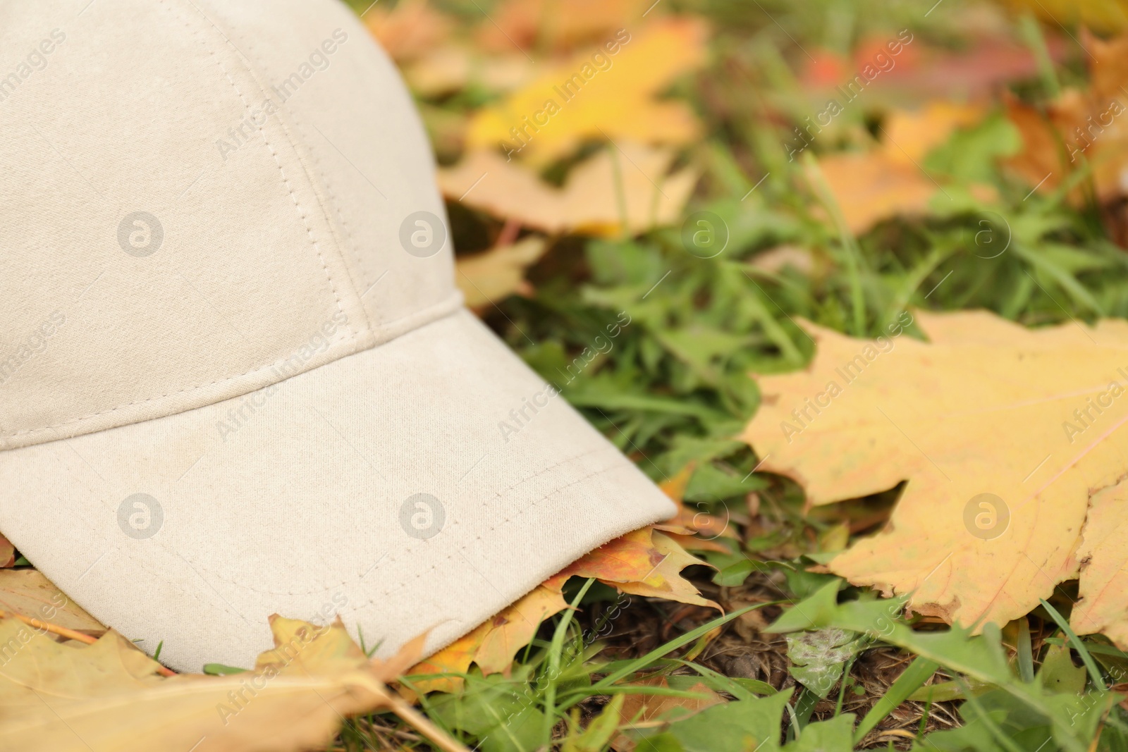 Photo of Stylish baseball cap grass with fallen leaves, closeup. Mockup for design