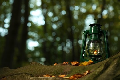 Photo of Vintage kerosene lamp near tree in forest at evening, space for text