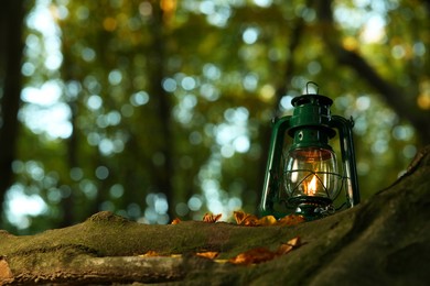 Photo of Vintage kerosene lamp near tree in forest at evening, space for text