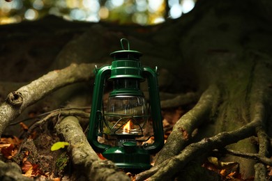 Photo of Vintage kerosene lamp near tree in forest at evening