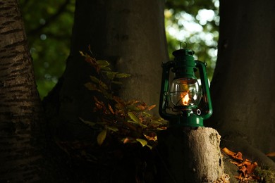 Photo of Vintage kerosene lamp near tree in forest at evening, space for text