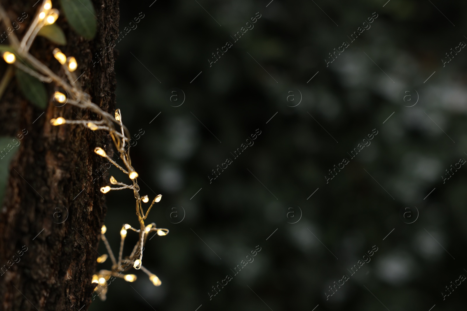 Photo of Tree trunk decorated with Christmas lights outdoors, closeup. Space for text