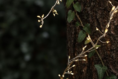 Photo of Tree trunk decorated with Christmas lights outdoors, closeup. Space for text