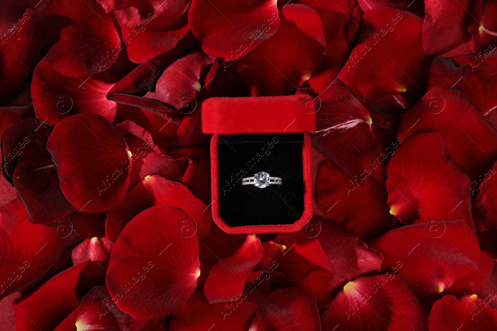 Photo of Engagement ring in box among rose petals, top view. Romantic proposal