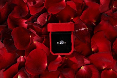 Engagement ring in box among rose petals, top view. Romantic proposal