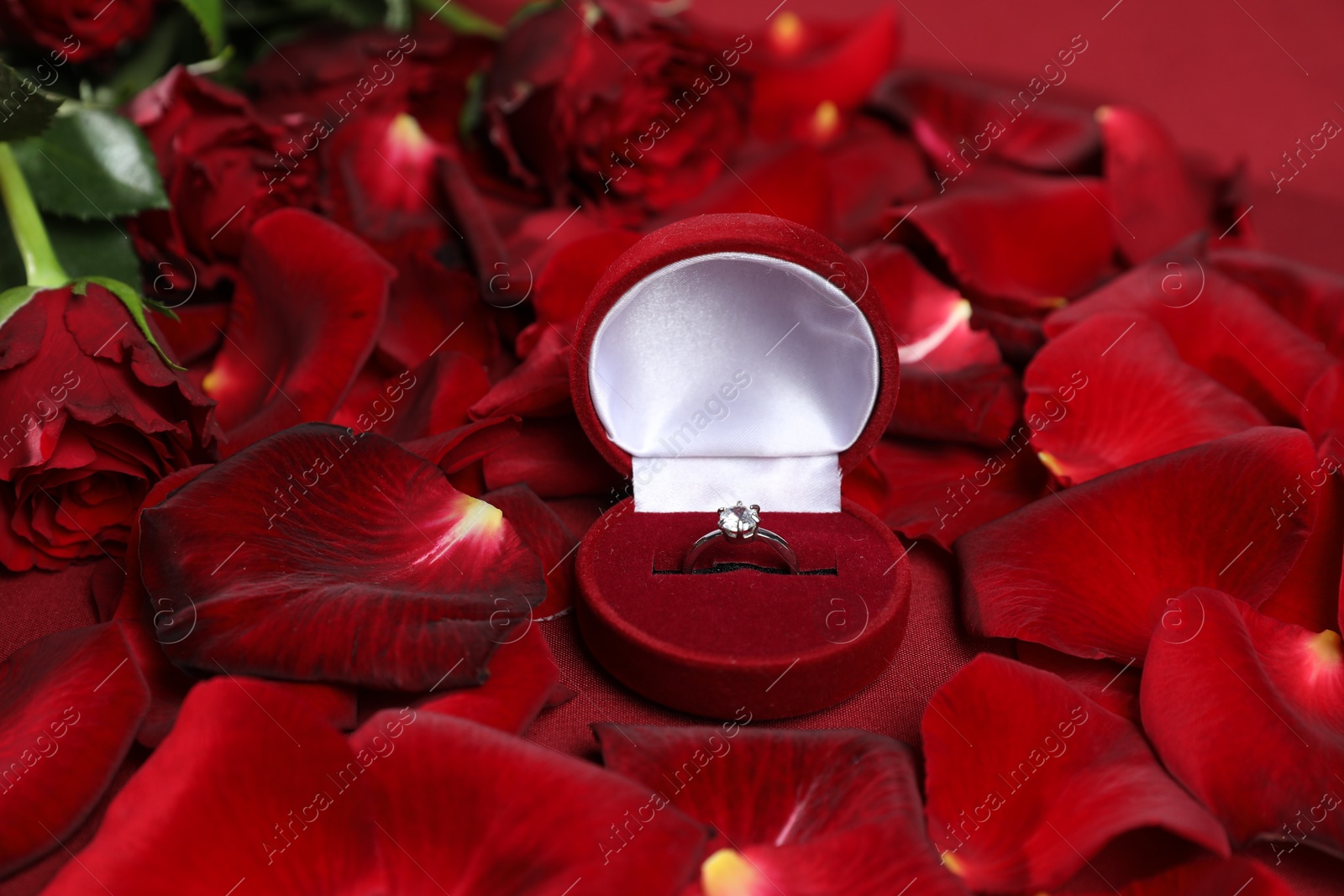 Photo of Engagement ring in box, rose flowers and petals on red background, closeup. Romantic proposal