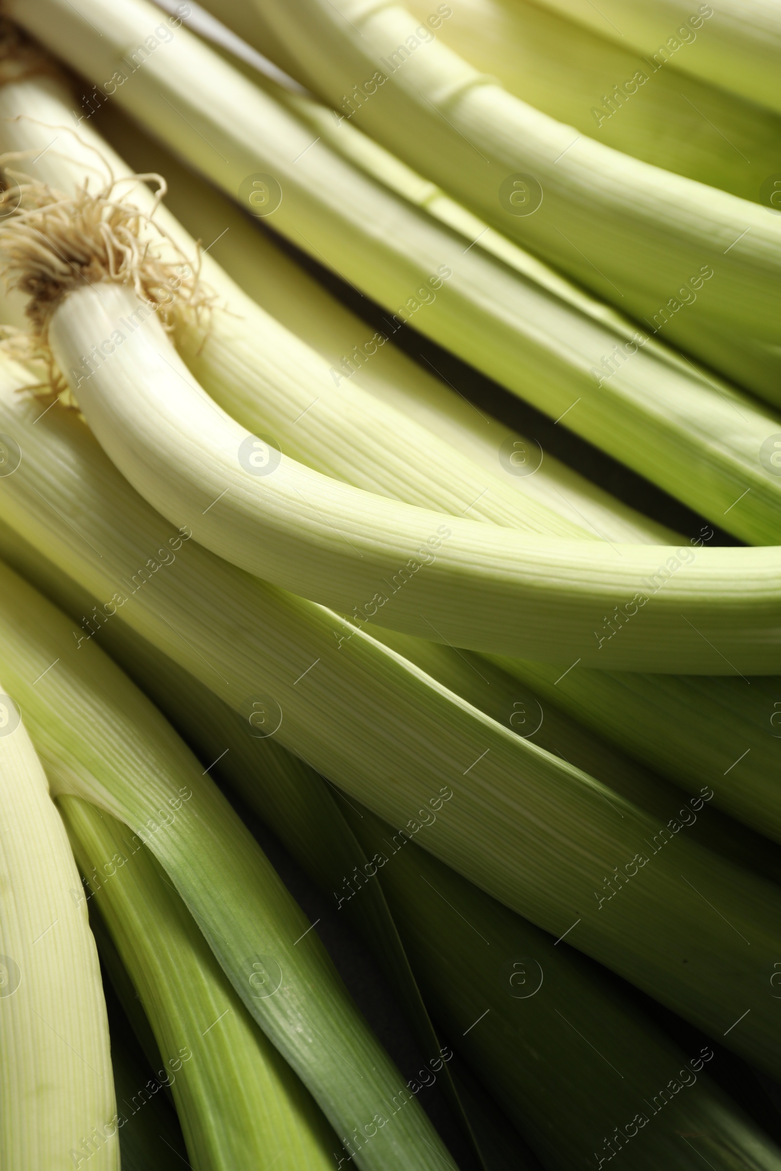 Photo of Fresh raw green leeks as background, closeup