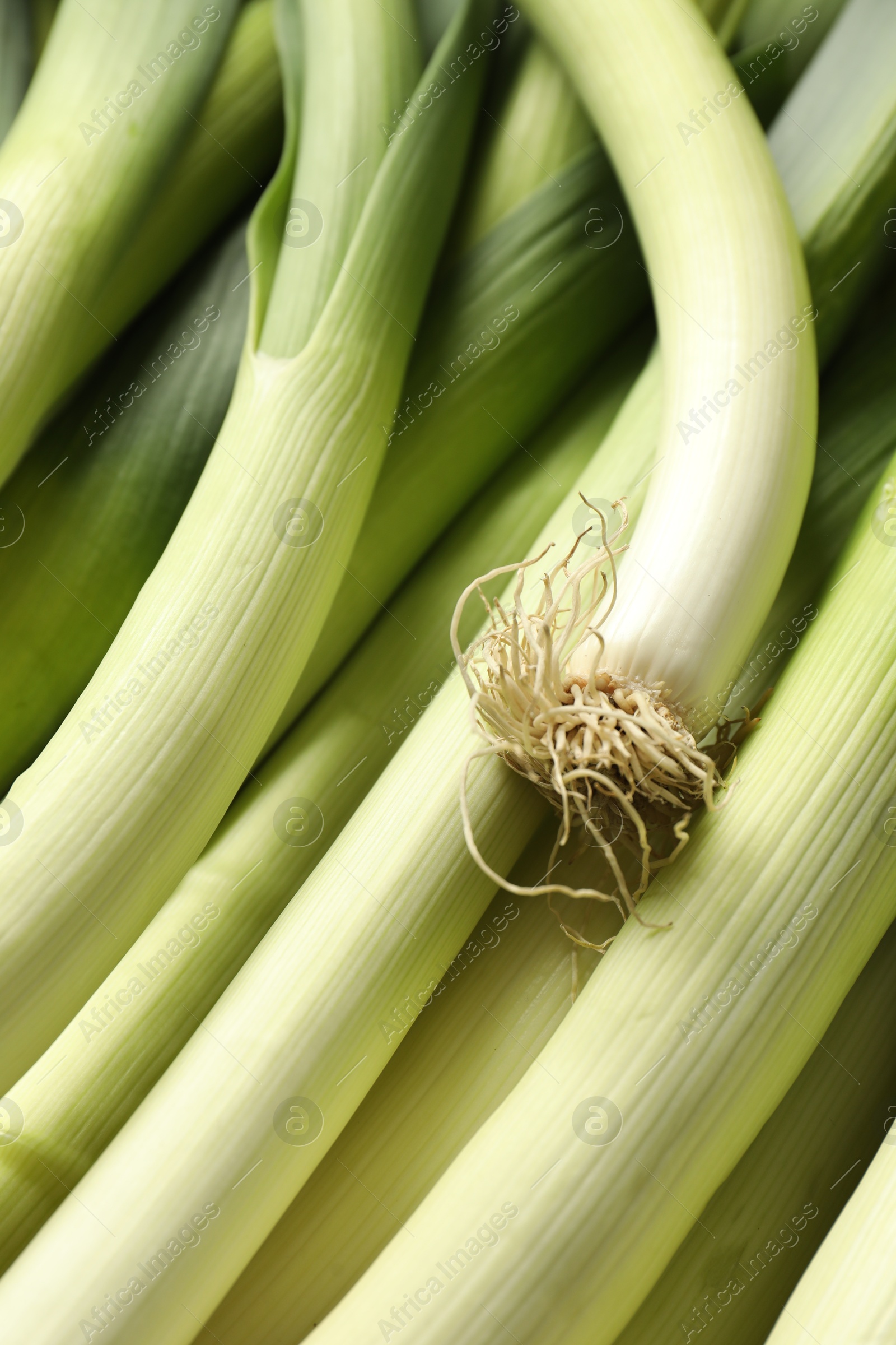 Photo of Fresh raw green leeks as background, top view