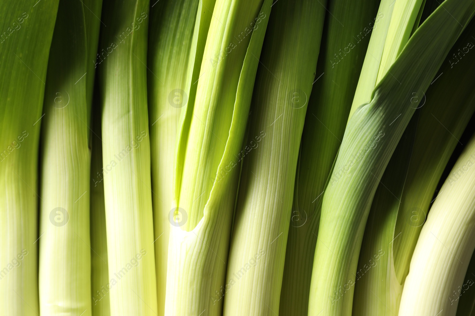 Photo of Fresh raw green leeks as background, top view