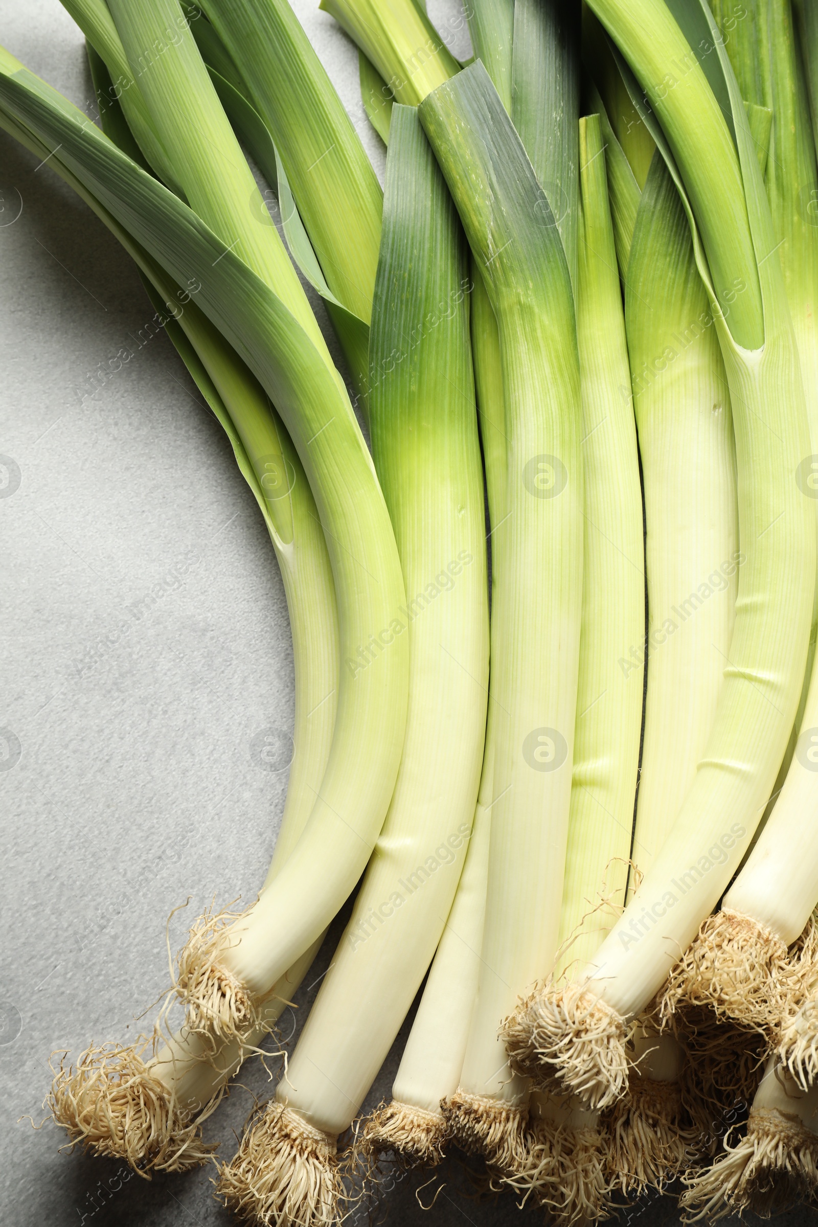 Photo of Fresh green leeks on light grey table, top view