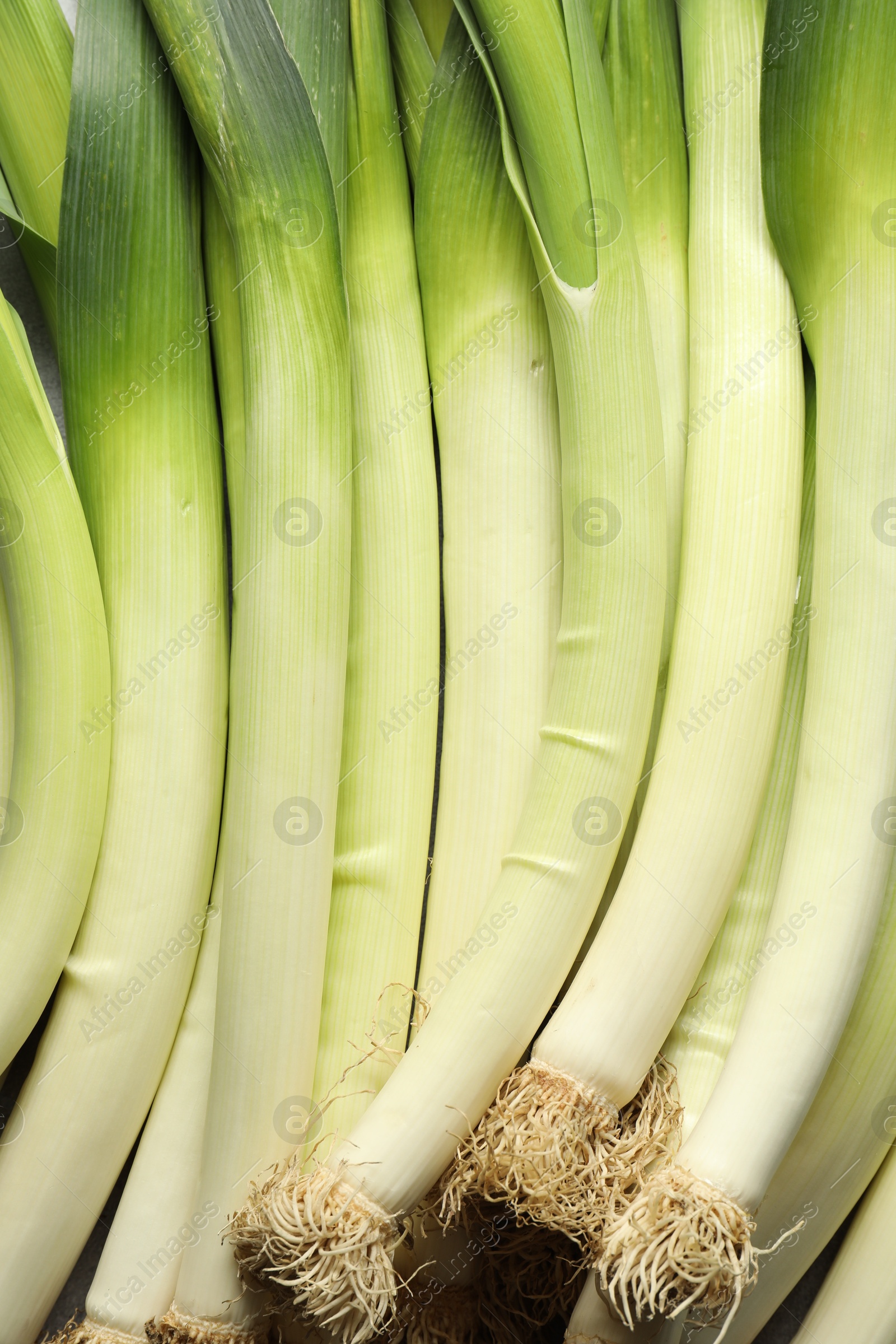 Photo of Fresh green leeks on light grey table, top view