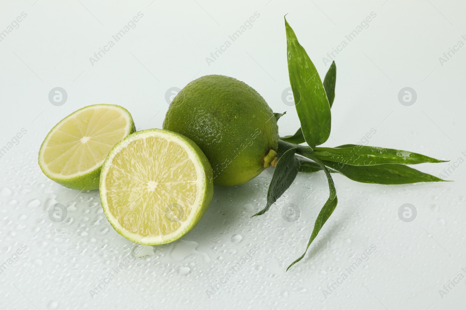Fresh limes and bamboo leaves on wet surface against white background Photo of Fresh limes and bamboo leaves on wet surface against white background