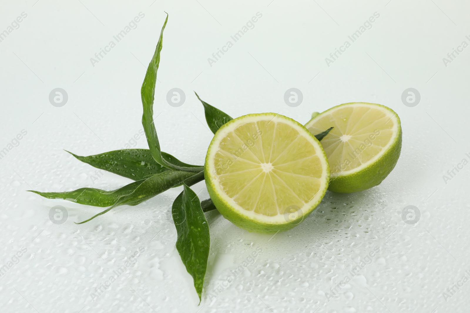 Fresh limes and bamboo leaves on wet surface against white background Photo of Fresh limes and bamboo leaves on wet surface against white background