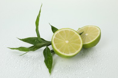 Photo of Fresh limes and bamboo leaves on wet surface against white background