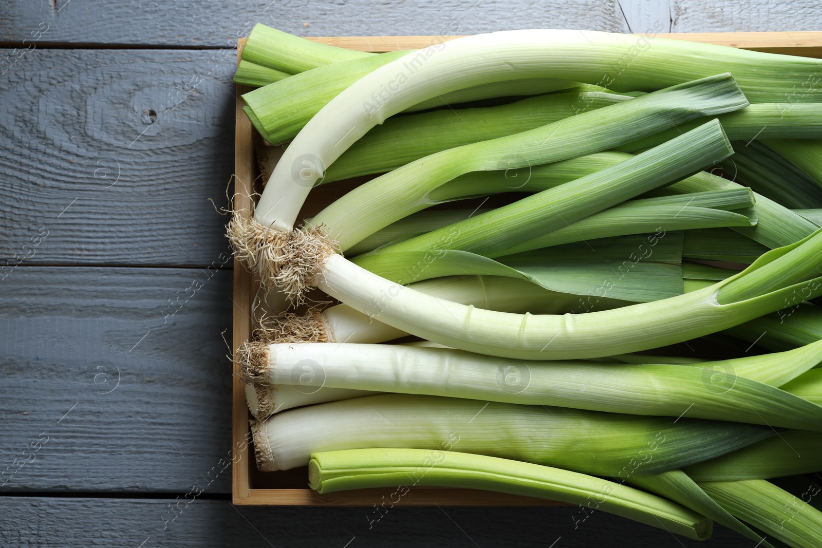 Photo of Fresh leeks in crate on grey wooden table, top view