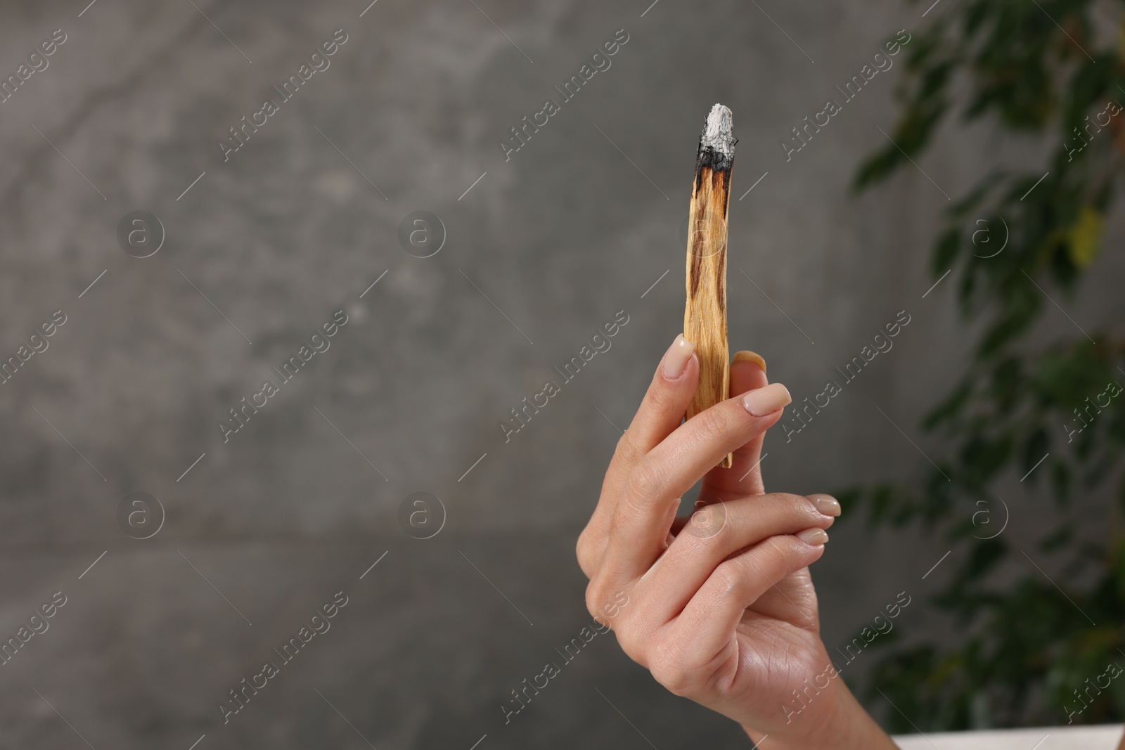 Photo of Woman with smoldering palo santo stick at home, closeup. Space for text