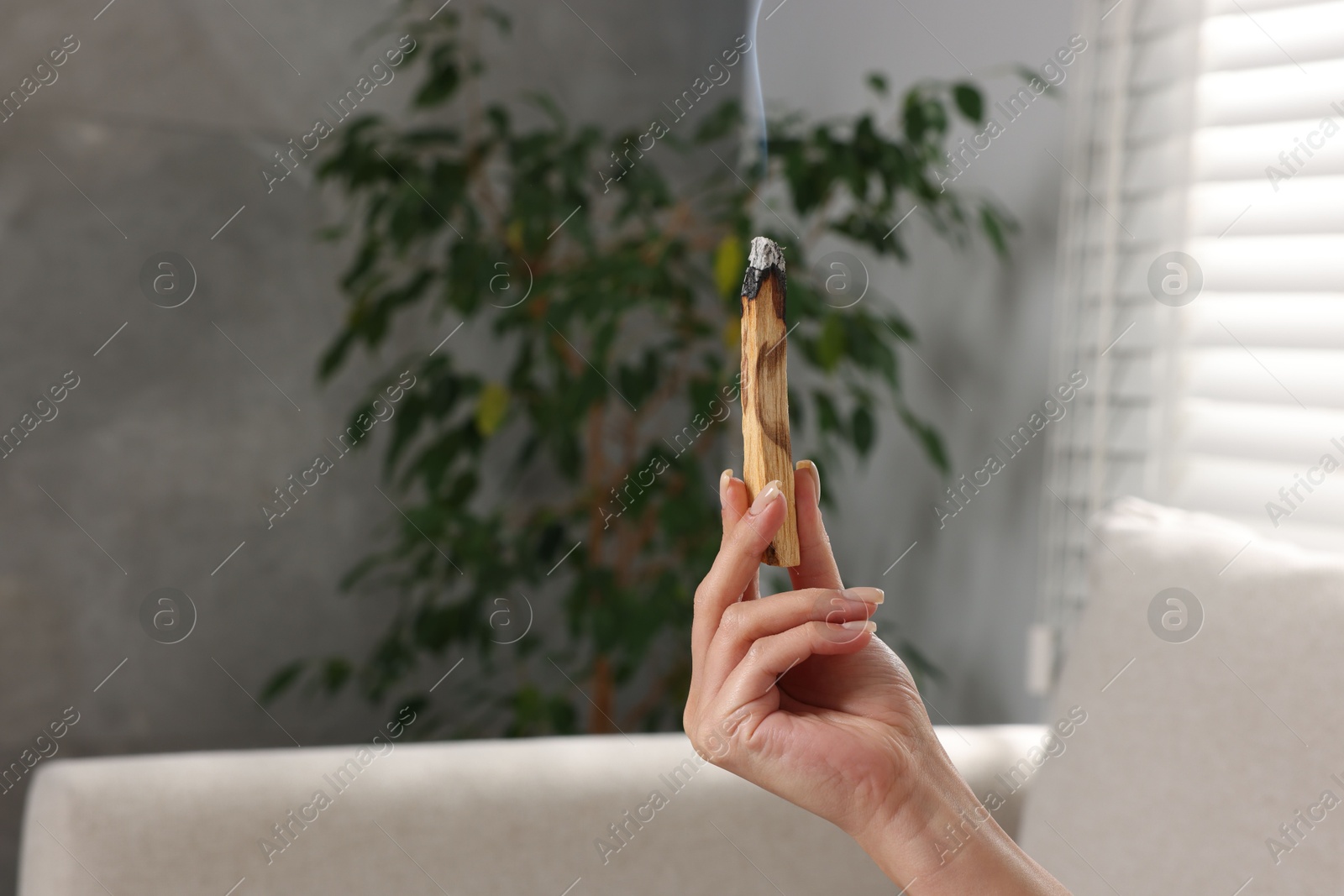 Photo of Woman with smoldering palo santo stick at home, closeup. Space for text