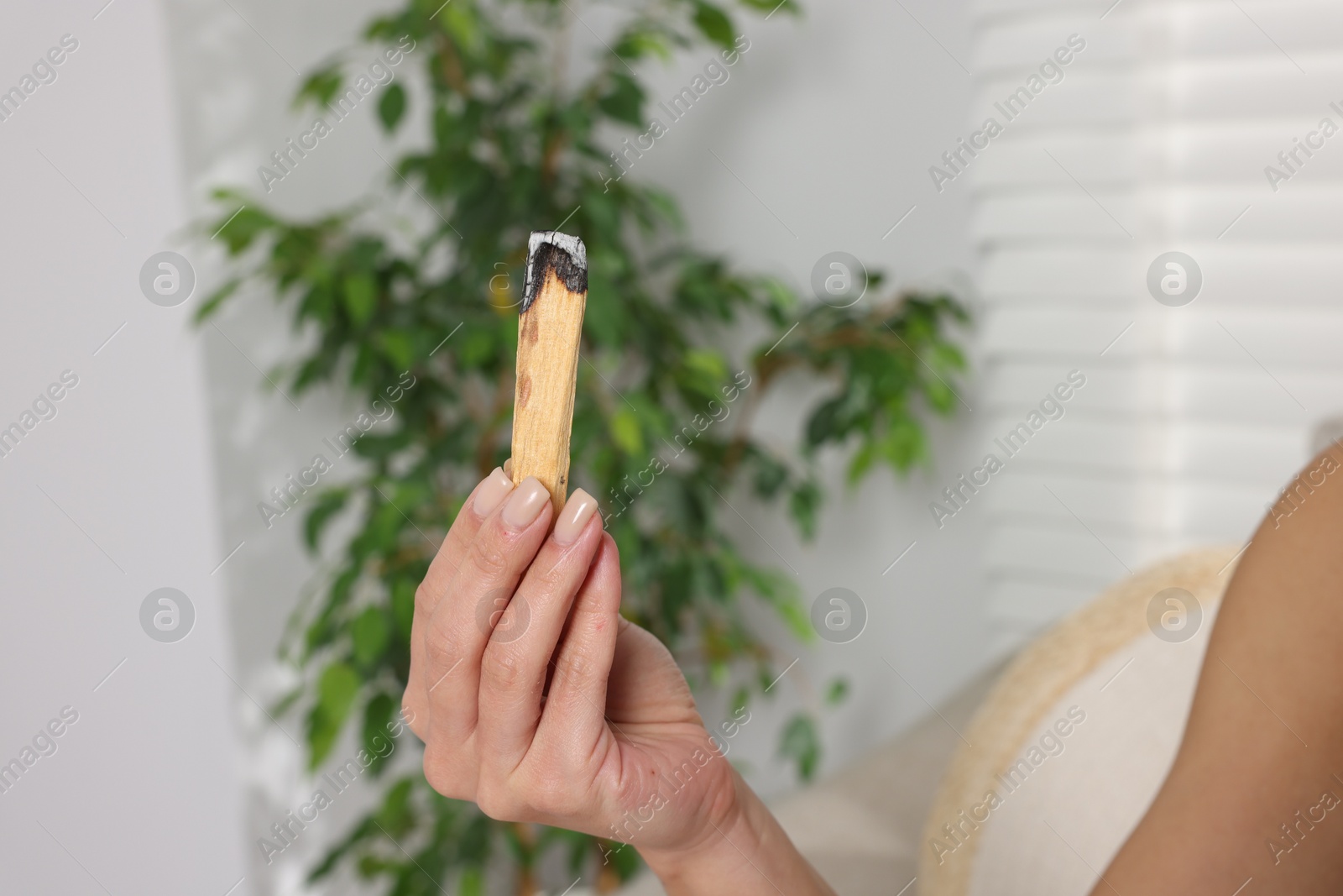 Photo of Woman with burnt palo santo stick at home, closeup