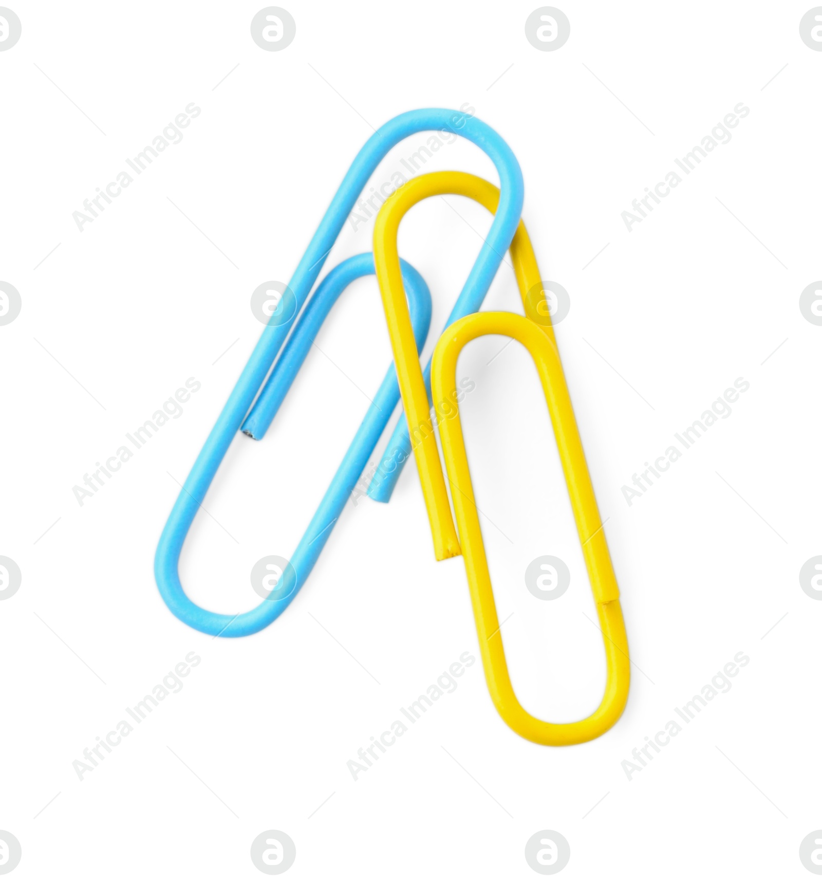 Photo of Paper clips isolated on white. Office stationery