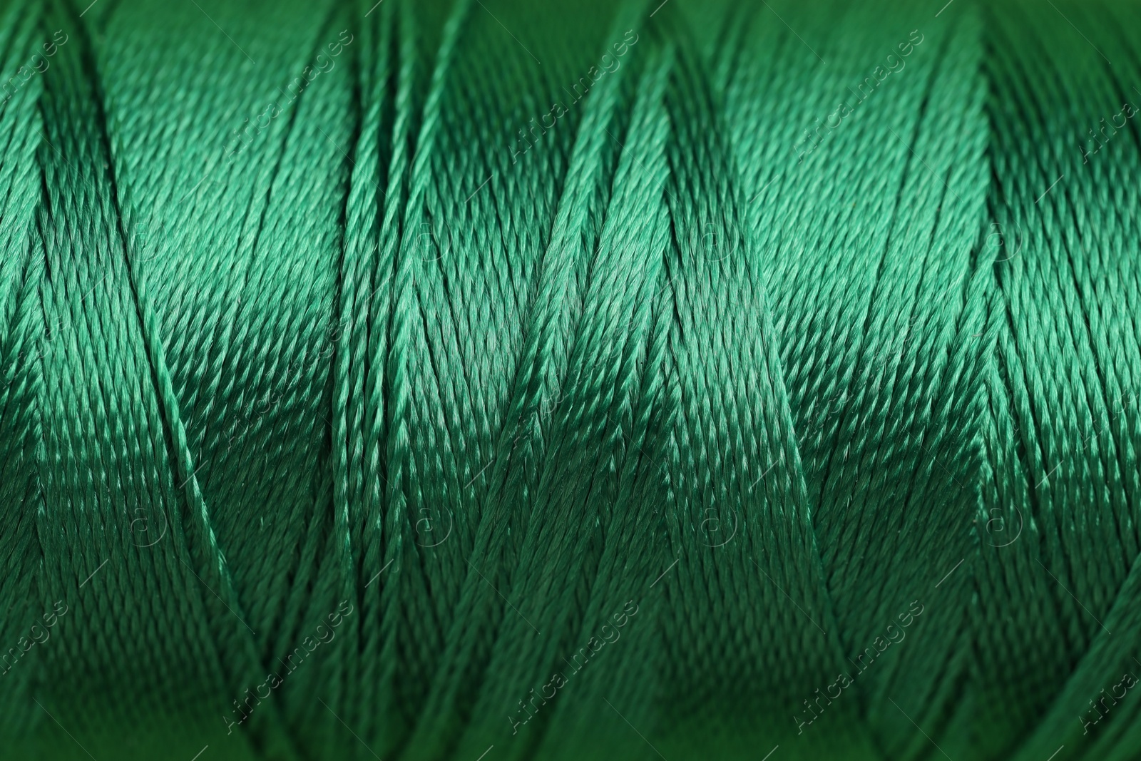 Photo of Spool of green sewing thread as background, closeup