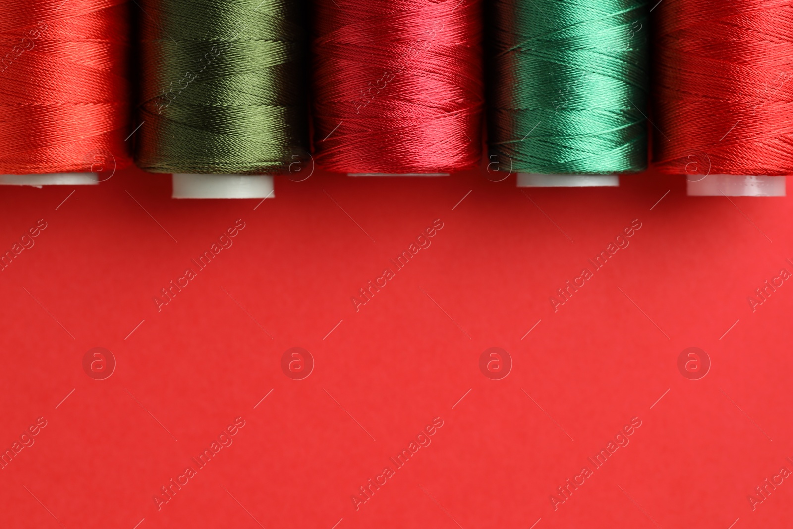 Photo of Different spools of sewing threads on red background, flat lay. Space for text