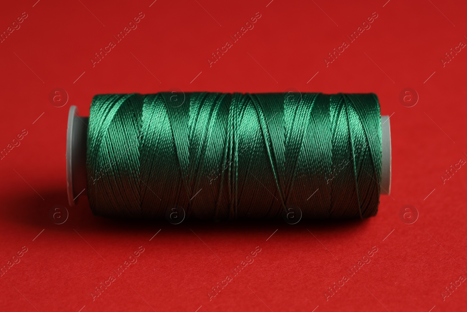 Photo of Spool of green sewing thread on red background, closeup