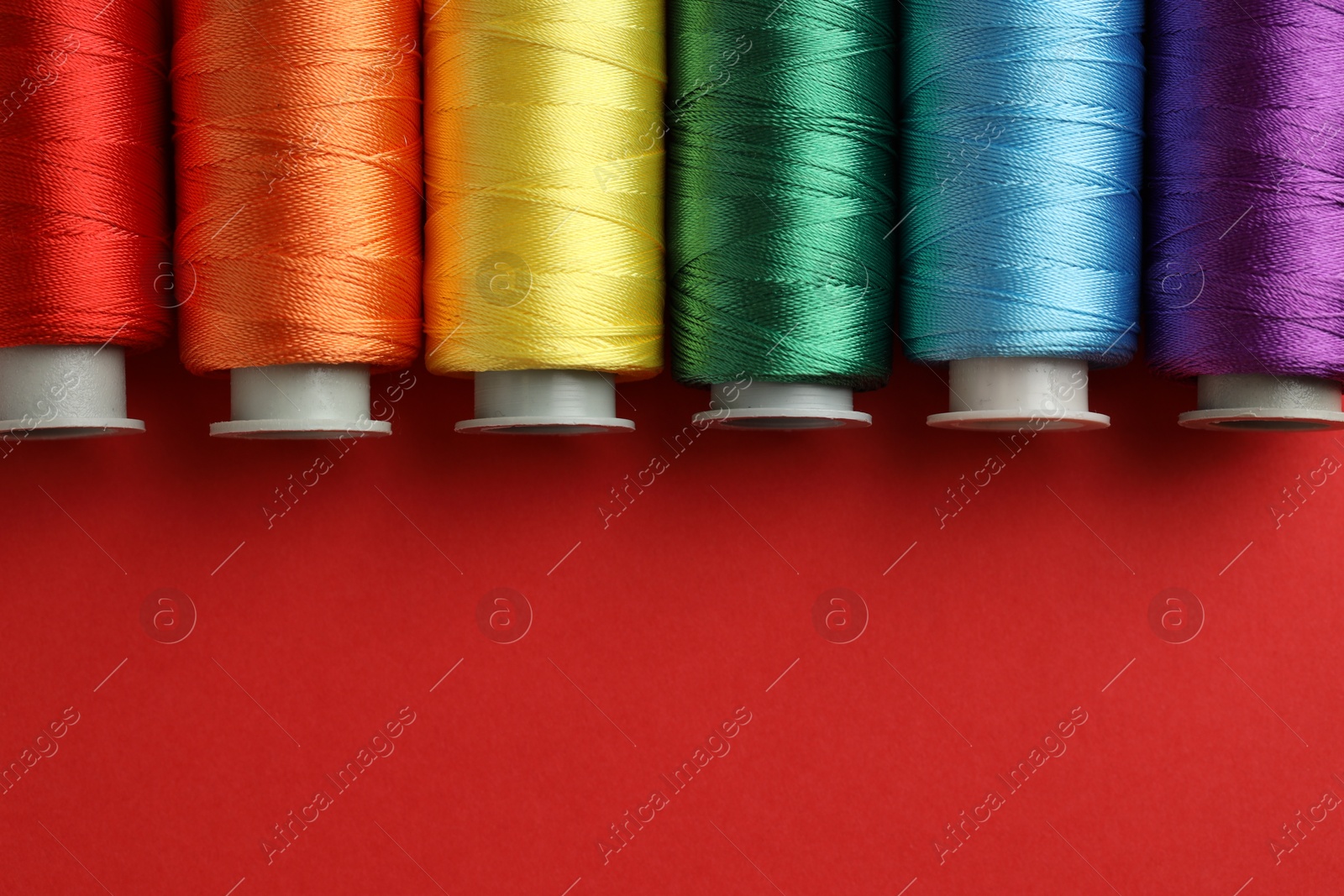 Photo of Different spools of sewing threads on red background, flat lay. Space for text