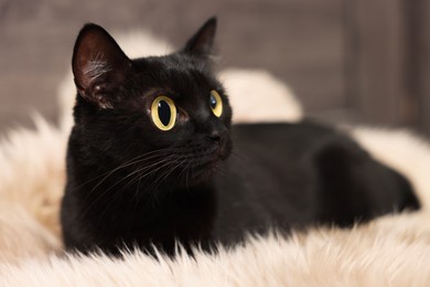 Image of Cute black cat with big eyes lying on rug, closeup. Adorable pet