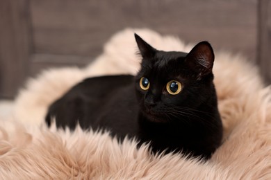 Image of Cute black cat with big eyes lying on rug. Adorable pet