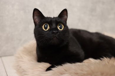 Image of Cute black cat with big eyes lying on rug, closeup. Adorable pet