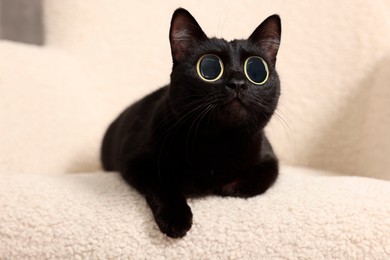 Image of Cute black cat with big eyes lying on white armchair, closeup. Adorable pet