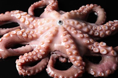 Photo of One fresh raw octopus on black background, closeup