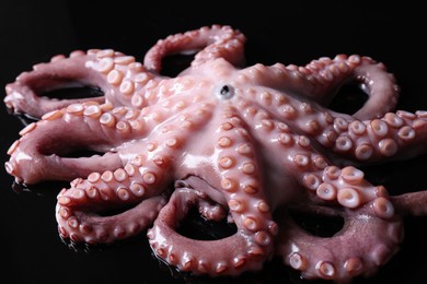 Photo of One fresh raw octopus on black background, closeup