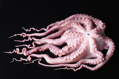 Photo of One fresh raw octopus on black background