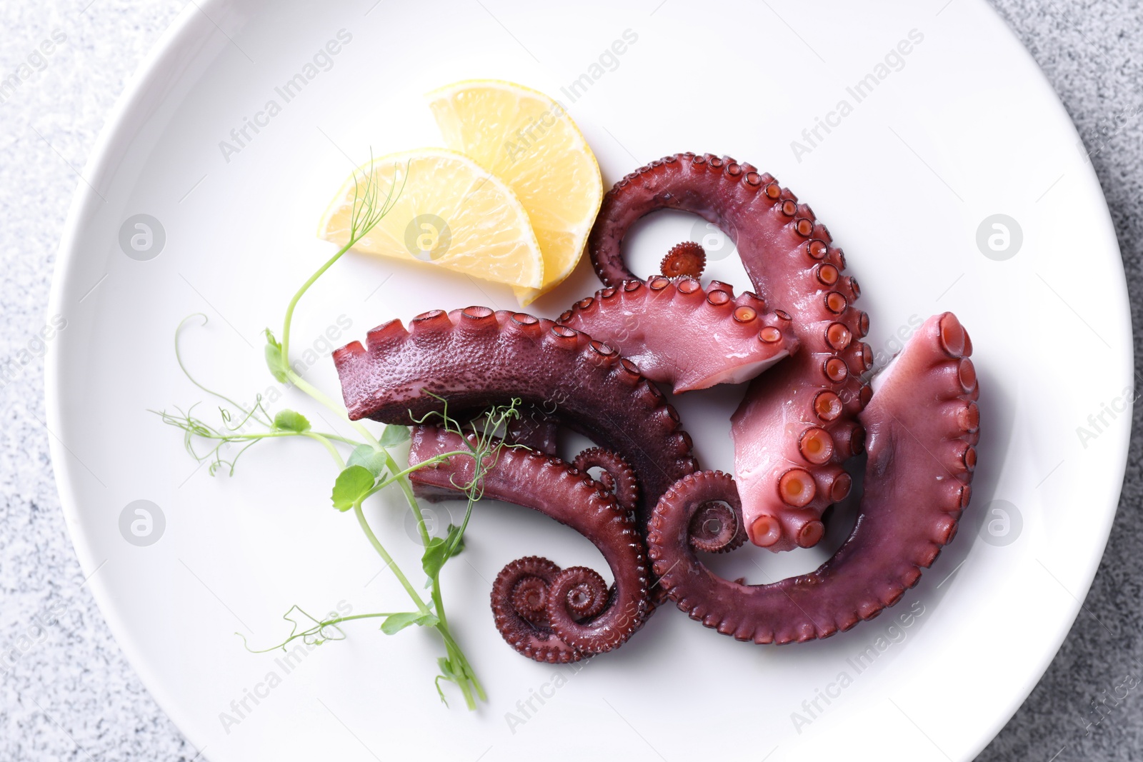 Photo of Appetizing octopus tentacles on grey table, top view