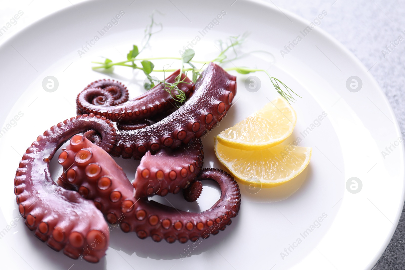 Photo of Appetizing octopus tentacles on grey table, closeup