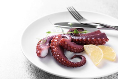 Photo of Appetizing octopus tentacles served on grey table, closeup