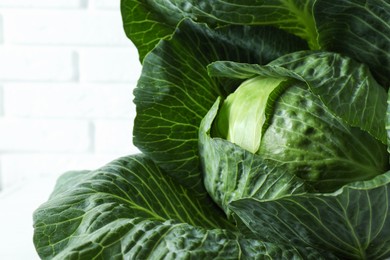 Photo of One ripe head of cabbage near white wall, closeup