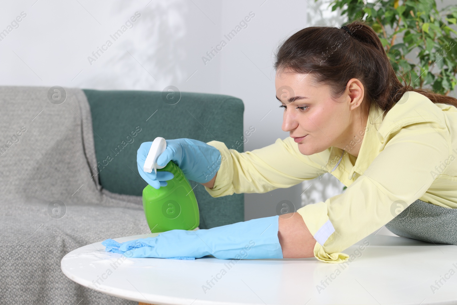 Photo of Woman using cleaning product while wiping table with rag indoors