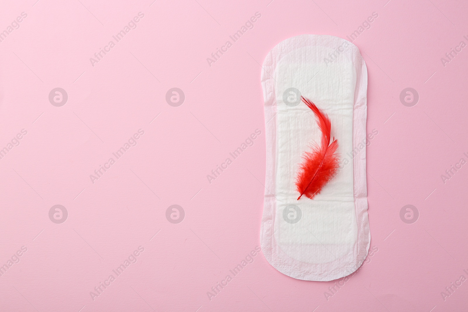 Photo of Menstrual pad with red feather on pink background, top view